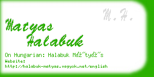 matyas halabuk business card